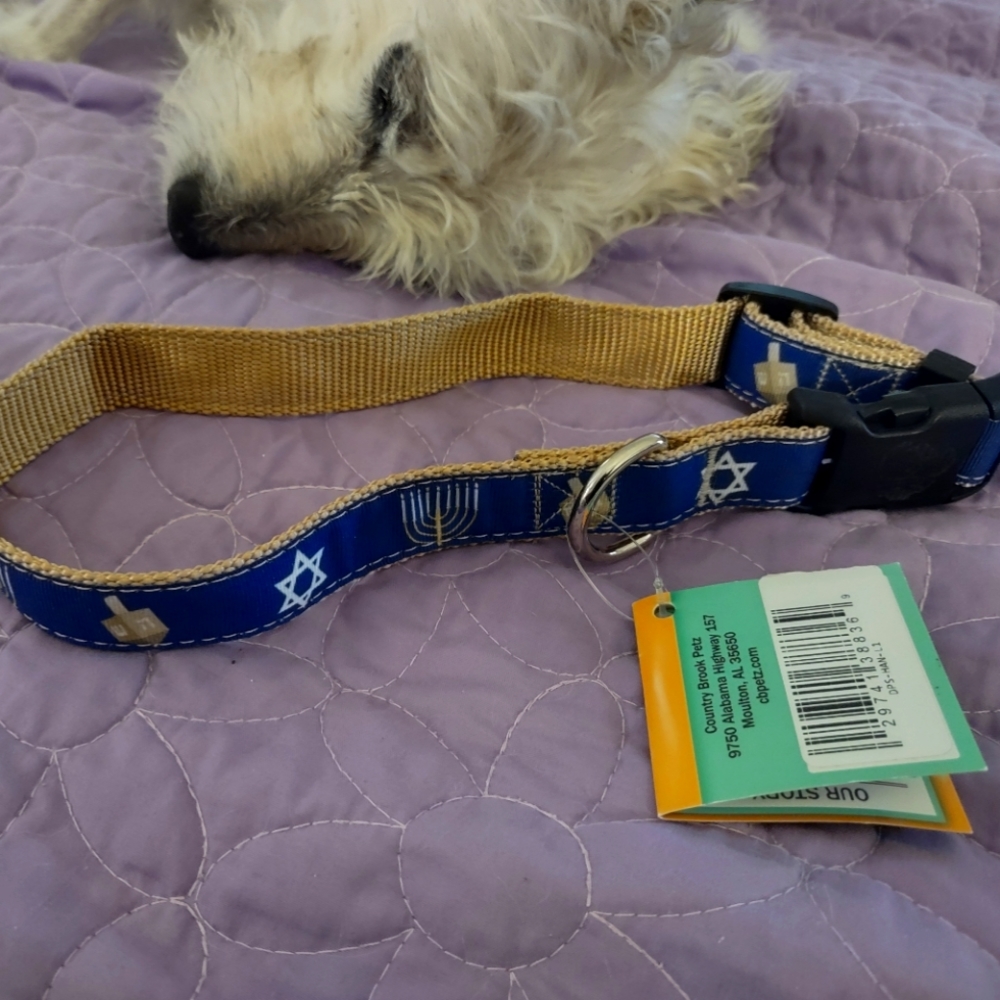 Hankukkah Dog Collar, Size Large